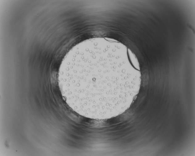 X0000103480093200810241048