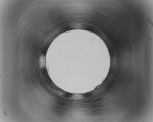 X0000103480095200810241048