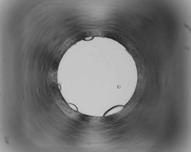 X0000103480096200810241048
