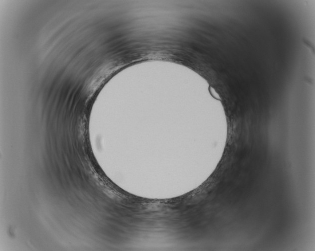 X0000103480098200810241047