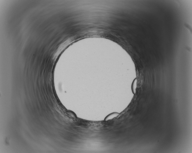 X0000103480099200810241047