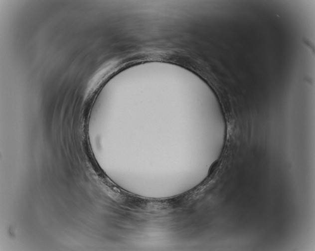 X0000103480101200810241047
