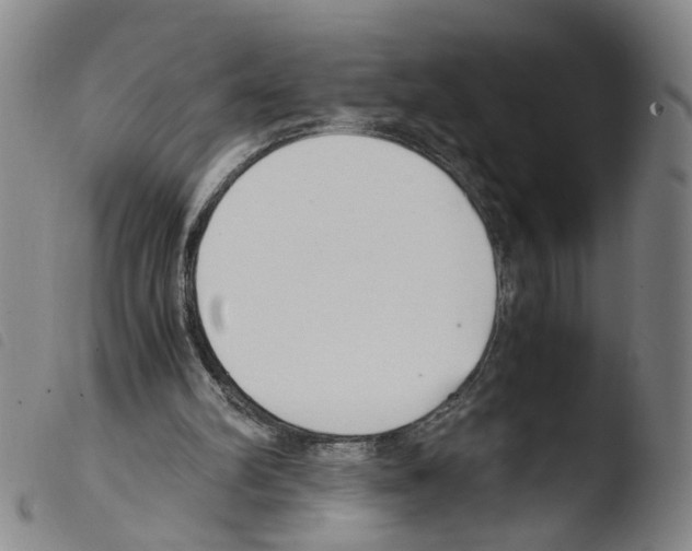 X0000103480102200810241047