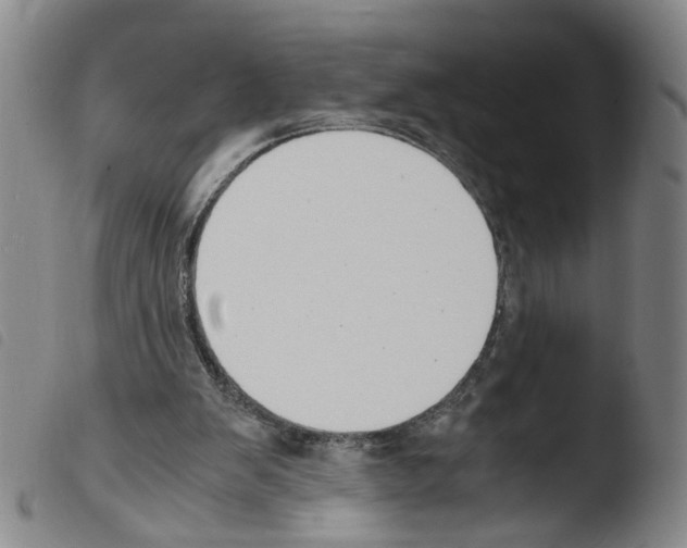 X0000103480103200810241047