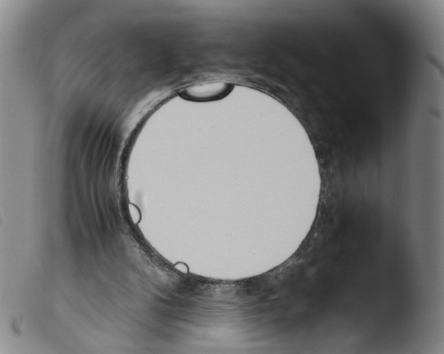 X0000103480104200810241047