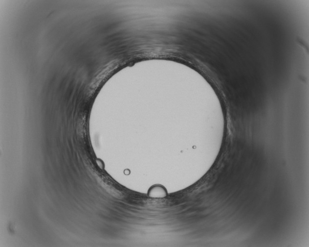 X0000103480105200810241047