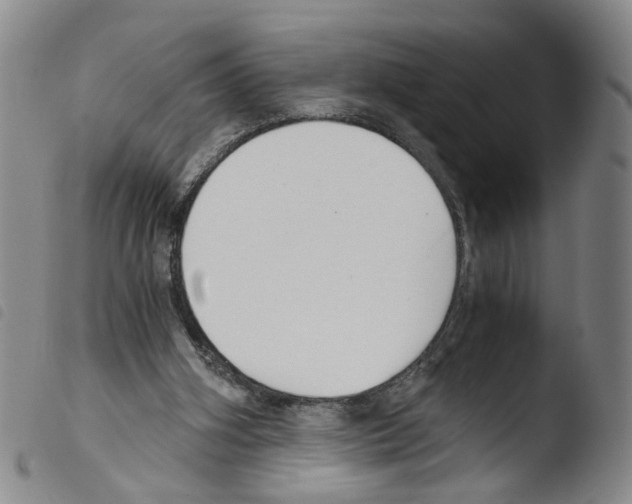 X0000103480106200810241047
