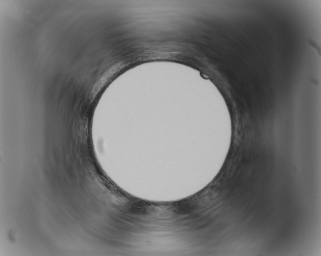 X0000103480107200810241047