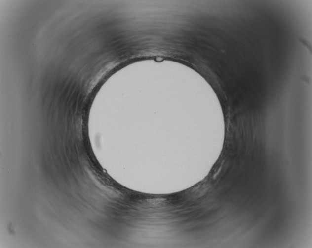 X0000103480108200810241047