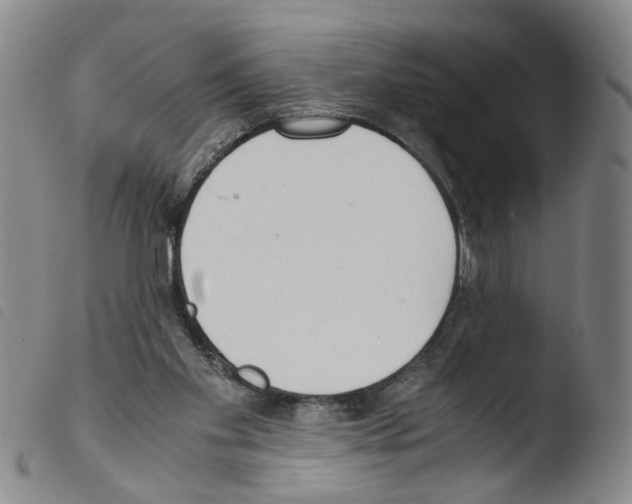 X0000103480109200810241047