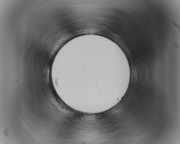 X0000103480110200810241047