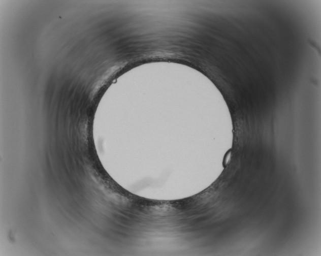 X0000103480112200810241047
