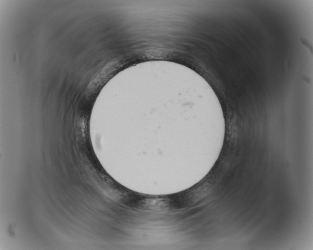 X0000103480117200810241047