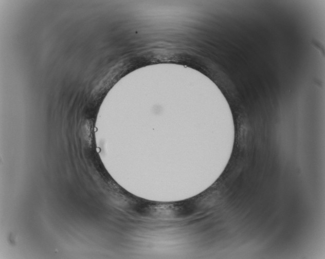 X0000103480121200810241047