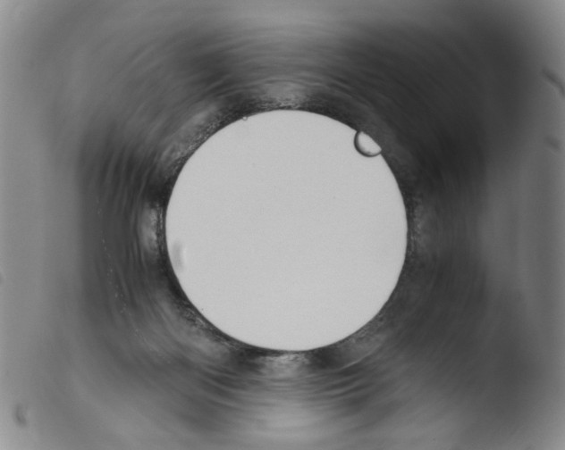 X0000103480122200810241047