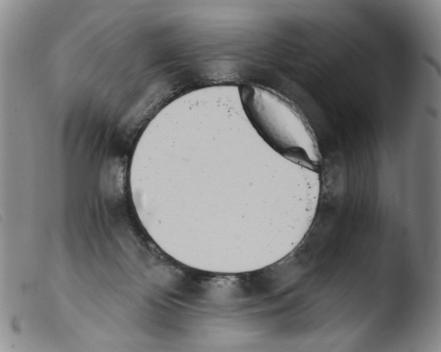 X0000103480124200810241047