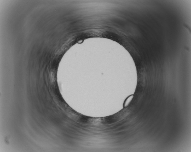 X0000103480131200810241047