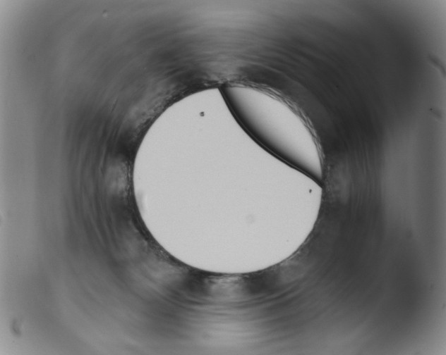 X0000103480132200810241047