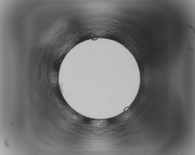 X0000103480135200810241047