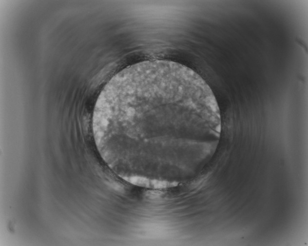X0000103480139200810241047