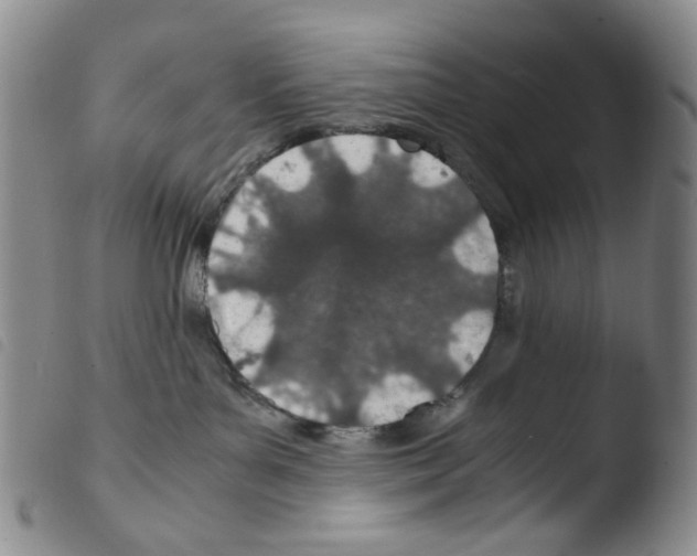 X0000103480143200810241047