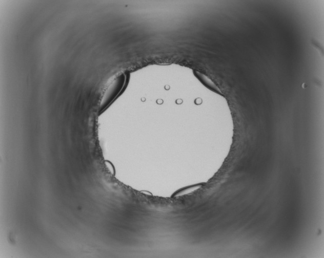 X0000103480144200810241046