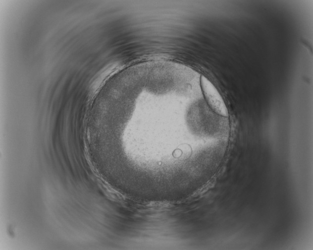 X0000103480145200810241046
