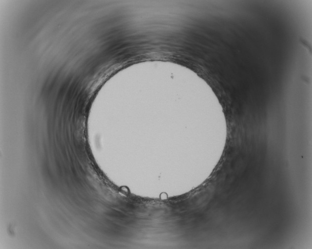 X0000103480146200810241046