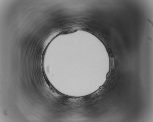 X0000103480147200810241046