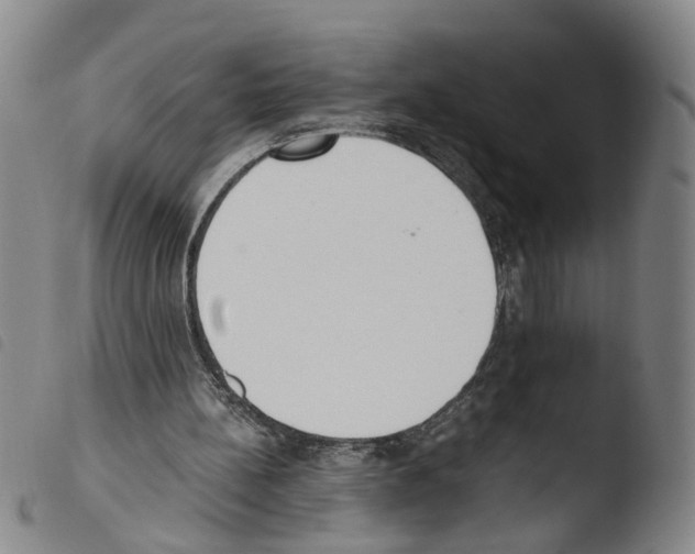 X0000103480148200810241046