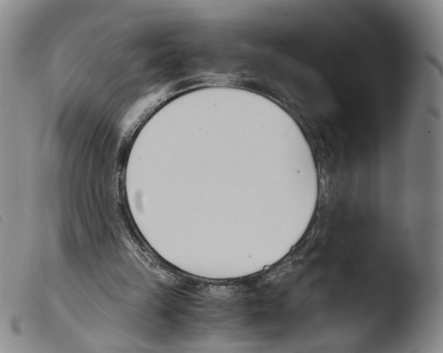 X0000103480149200810241046