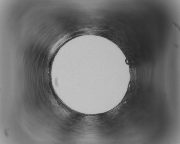 X0000103480150200810241046