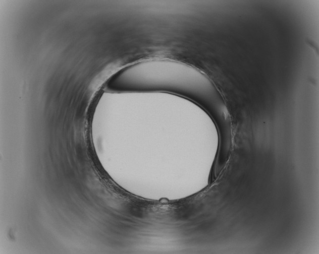 X0000103480152200810241046