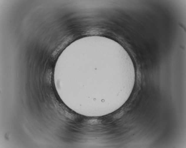 X0000103480153200810241046