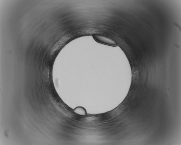 X0000103480158200810241046