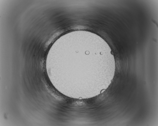 X0000103480159200810241046