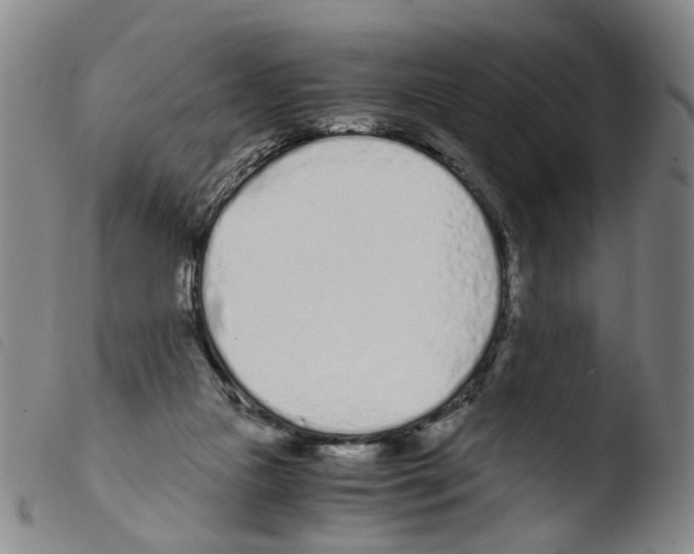 X0000103480161200810241046
