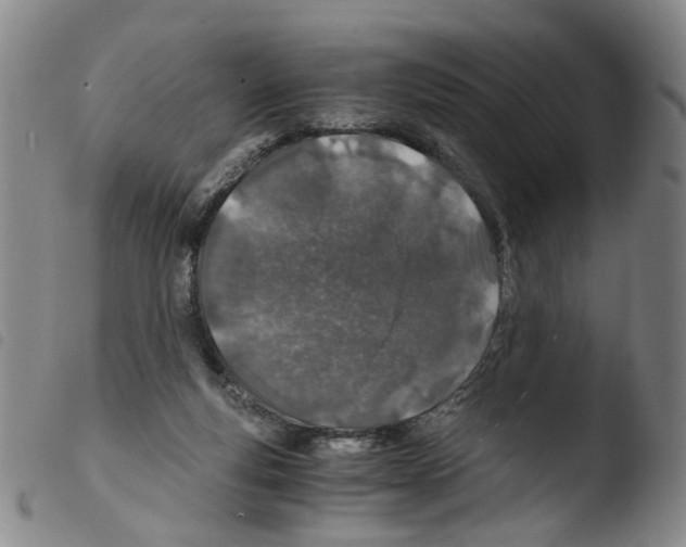 X0000103480163200810241046
