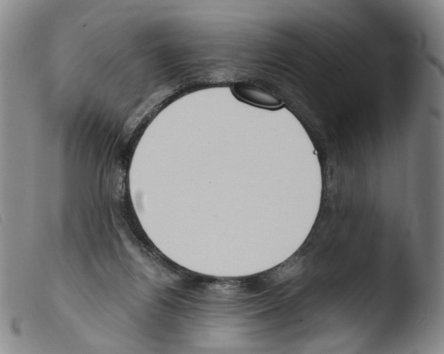 X0000103480164200810241046
