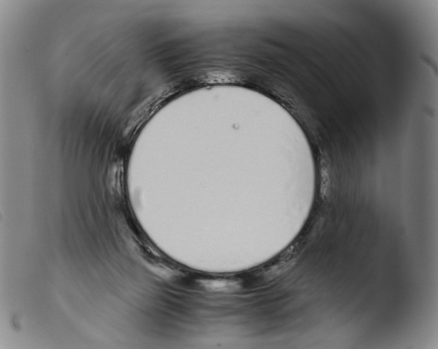 X0000103480165200810241046