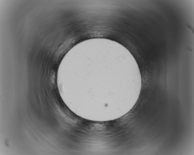X0000103480166200810241046