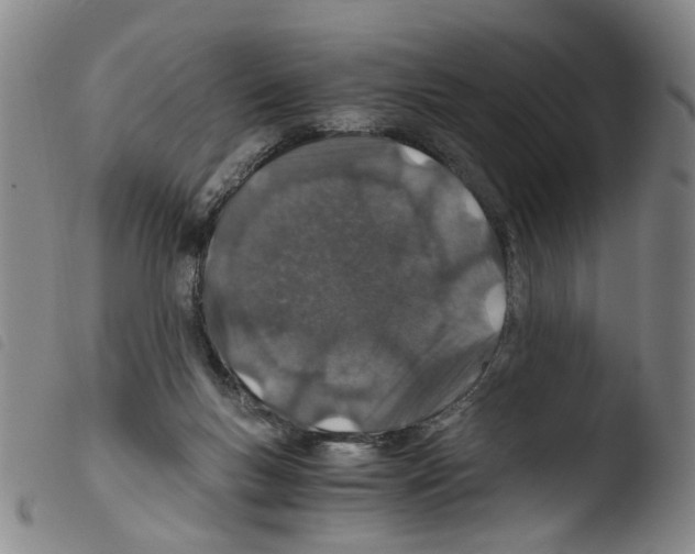 X0000103480167200810241046