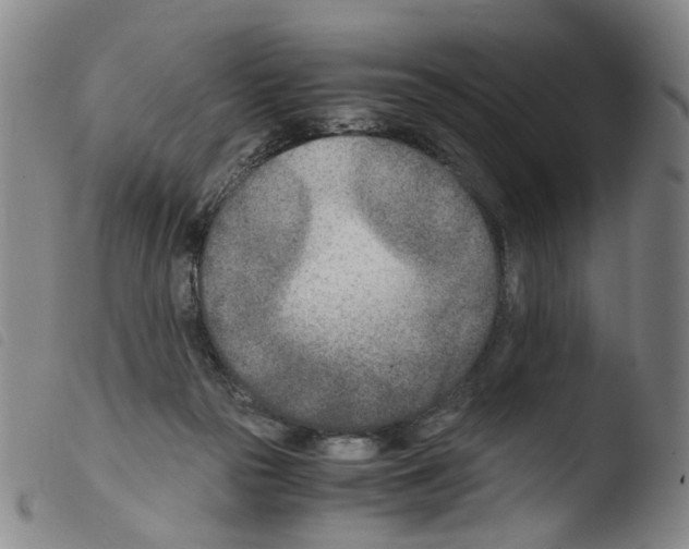 X0000103480169200810241046