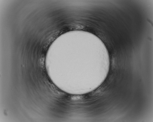 X0000103480177200810241046