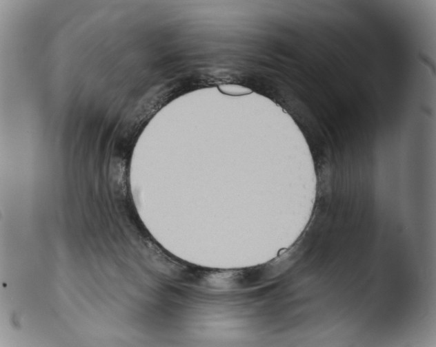 X0000103480178200810241046