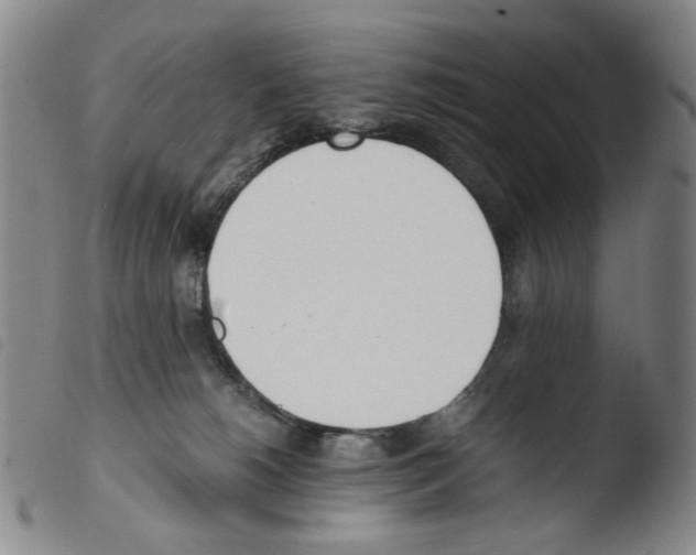 X0000103480180200810241046