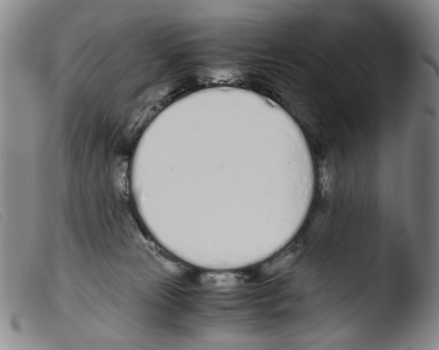 X0000103480181200810241046