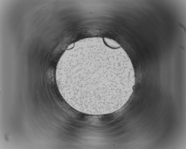 X0000103480182200810241046