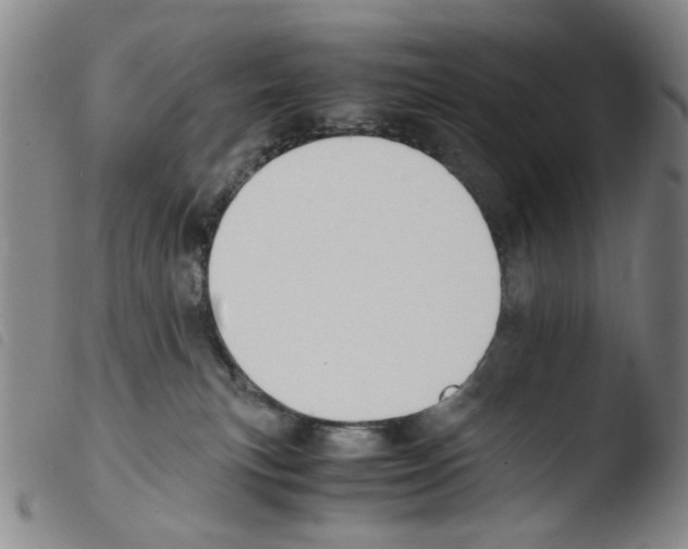 X0000103480183200810241046