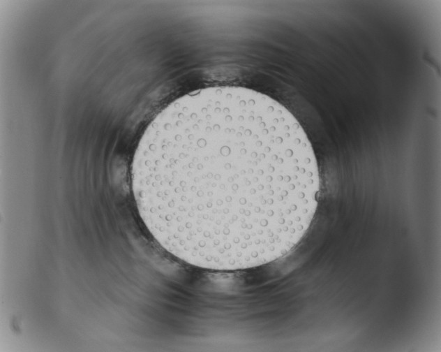 X0000103480187200810241046